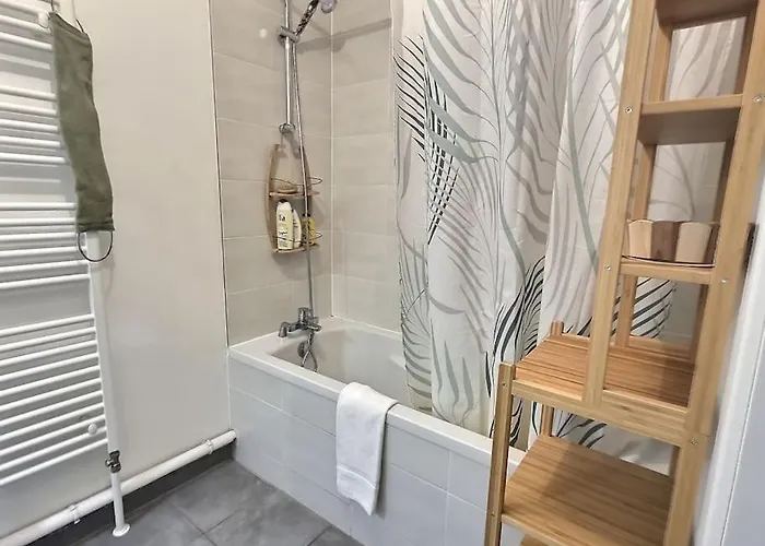 Superbe Avec 2 Balcons - Vue Sur La Cathedrale Environ 15 Min En Tram Strazburg